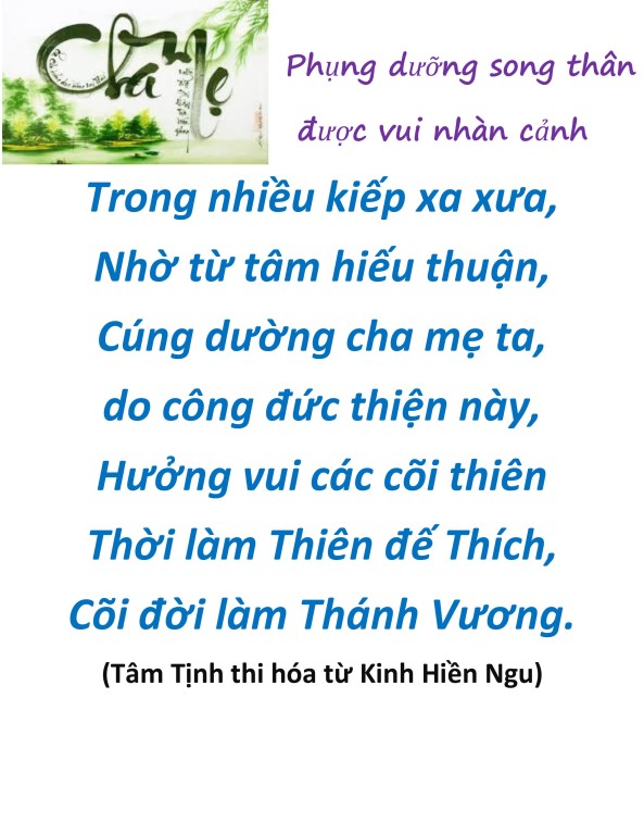 hieu duong cha me_vu lan bao hieu11.jpg